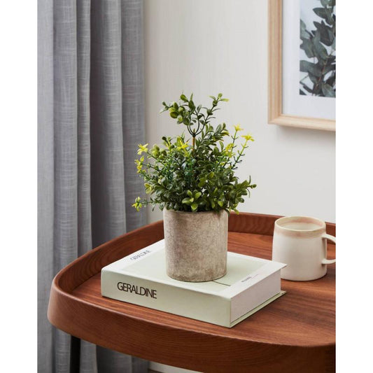 CHITOSE decoración