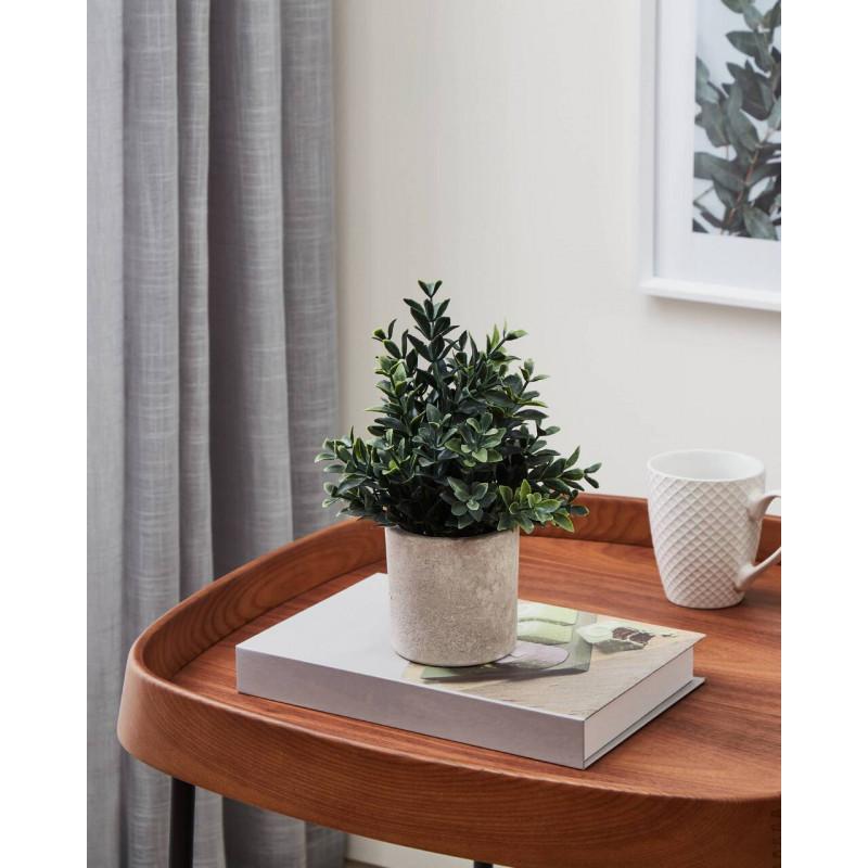 CHITOSE decoración