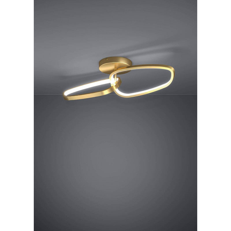 LODOSA techo