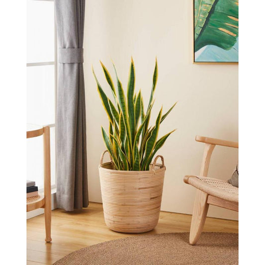 NARAHA decoración