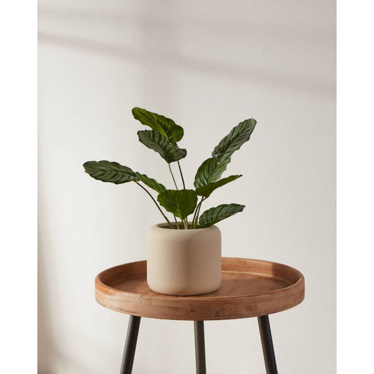 PARKENT decoración