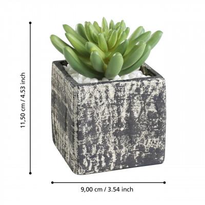 Plantas CHITOSE Plantas CHITOSE