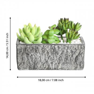 Plantas CHITOSE Plantas CHITOSE