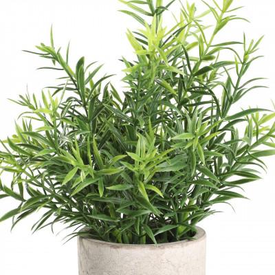 Plantas CHITOSE Plantas CHITOSE