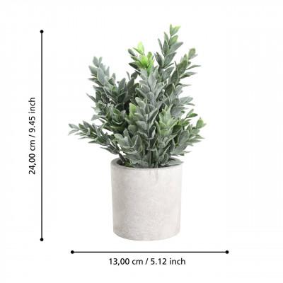 Plantas CHITOSE Plantas CHITOSE