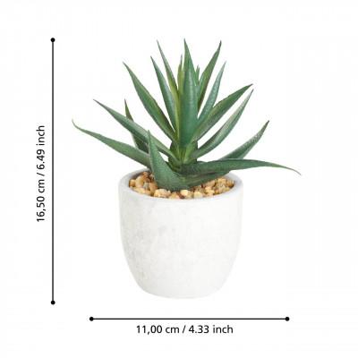 Plantas CHITOSE Plantas CHITOSE