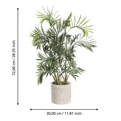 Plantas TOBETSU