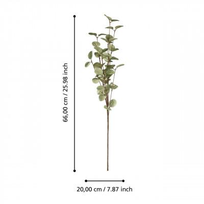 Plantas TEPALING Plantas TEPALING