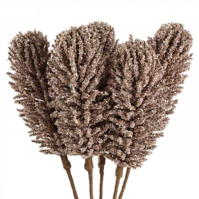 Plantas DEMING Plantas DEMING