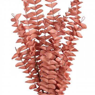 Plantas GANNAN Plantas GANNAN
