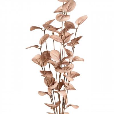 Plantas TEPALING Plantas TEPALING