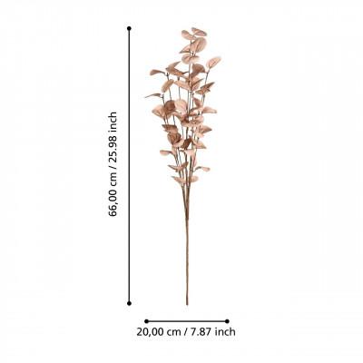 Plantas TEPALING Plantas TEPALING