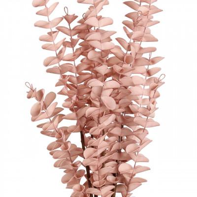Plantas GANNAN Plantas GANNAN