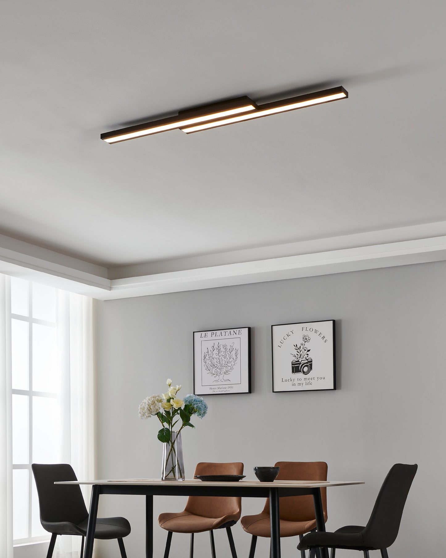 SALITERAS-Z TECHO ACEROÿ L1160 H50 2765K LED 3100lm 2X10 2W