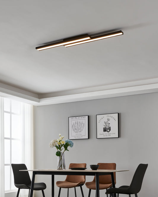 SALITERAS-Z TECHO ACEROÿ L1160 H50 2765K LED 3100lm 2X10 2W