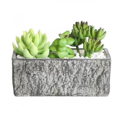 PLANTA SUCULENTA MACETA GRIS H145