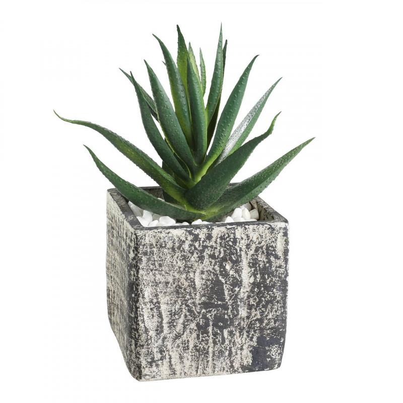 PLANTA SUCULENTA MACETA GRIS H130