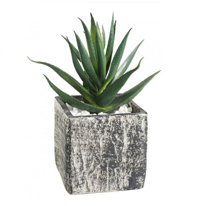 PLANTA SUCULENTA MACETA GRIS H130