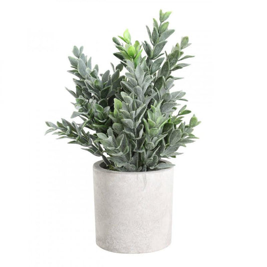 PLANTA POTTED GRASS MACETA GRIS H220 DM160