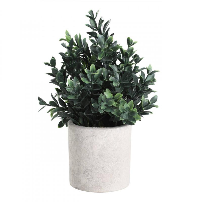 PLANTA POTTED GRASS MACETA CAFE H230 DM180