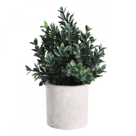 PLANTA POTTED GRASS MACETA CAFE H230 DM180