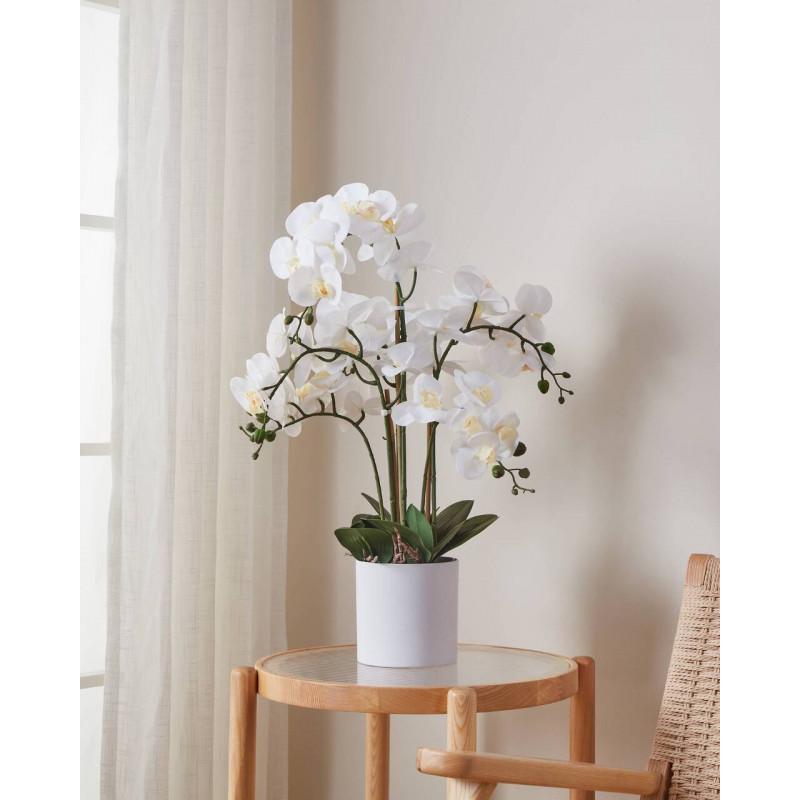 HYUGA decoración