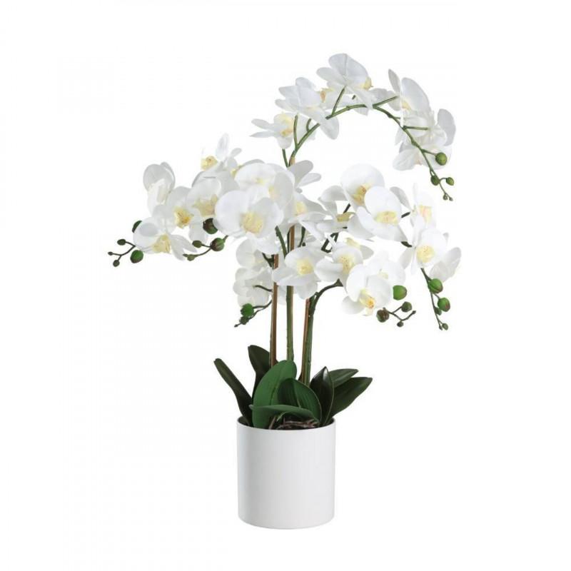 PLANTA ORQUIDEA MACETA BLANCA H650 DM500