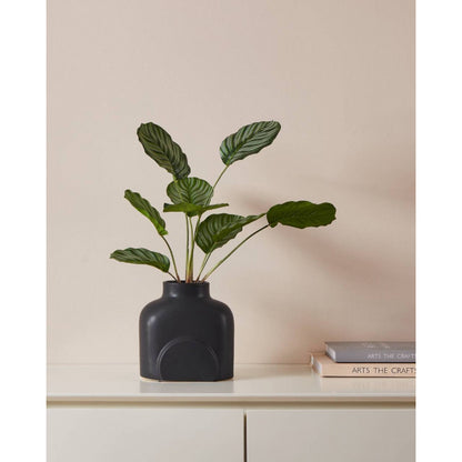 LYAGLAN decoración