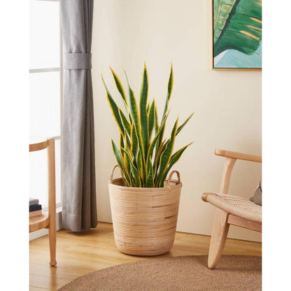 NARAHA decoración