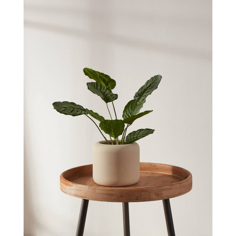 PARKENT decoración