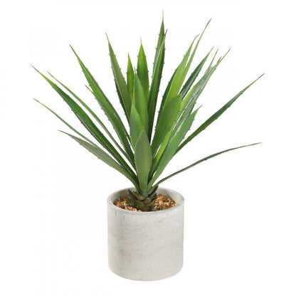 PLANTA POTTED GREENS MACETA CAFE H390 DM400