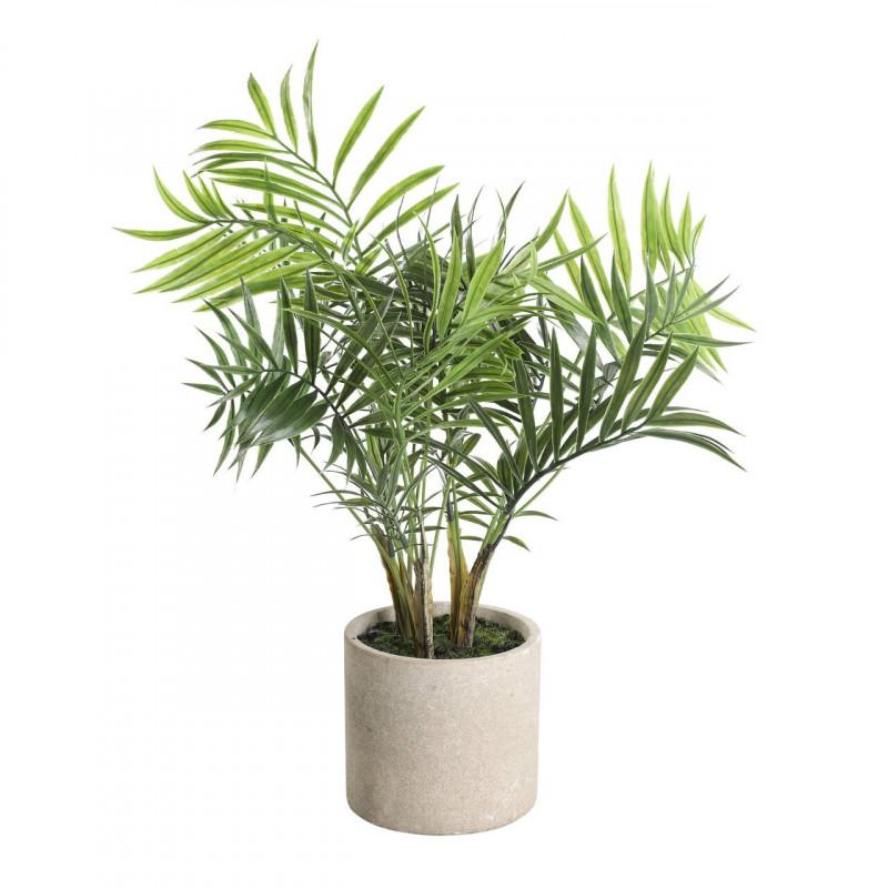 PLANTA POTTED GREENS MACETA CAFE H470 DM360