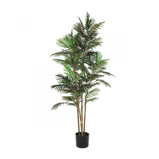 PLANTA POTTED TREE MACETA NEGRO H1600 DM650