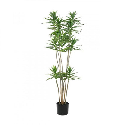 PLANTA POTTED TREE MACETA NEGRO H1250 DM500
