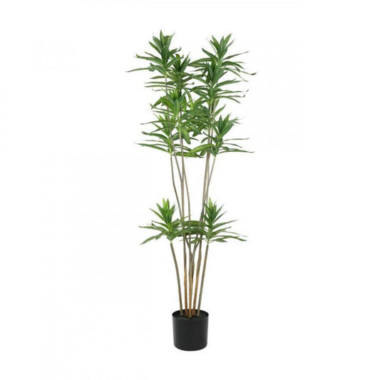 PLANTA POTTED TREE MACETA NEGRO H1250 DM500